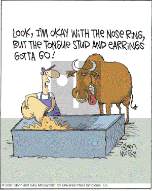 The Flying McCoys on Saturday May 5, 2007 Comic Strip