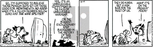 Over the Hedge on Friday October 7, 2005 Comic Strip