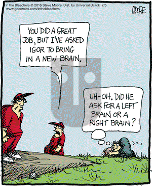 In the Bleachers on Tuesday July 5, 2016 Comic Strip