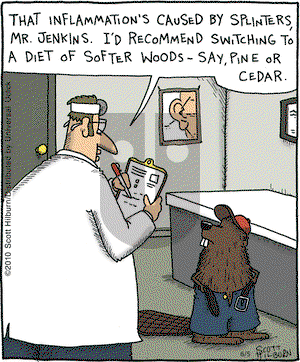 The Argyle Sweater on Saturday June 5, 2010 Comic Strip