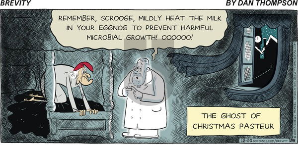 Brevity on Sunday December 20, 2020 Comic Strip