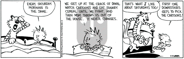 Calvin and Hobbes on Saturday May 13, 1995 Comic Strip