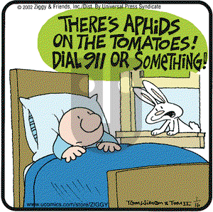 Ziggy on Wednesday January 16, 2002 Comic Strip
