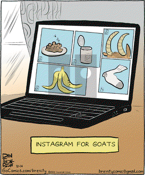 Brevity on Saturday December 14, 2013 Comic Strip