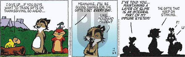 Over the Hedge on Wednesday November 27, 2013 Comic Strip