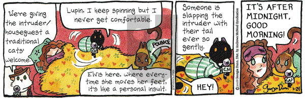 Breaking Cat News on Wednesday January 24, 2018 Comic Strip