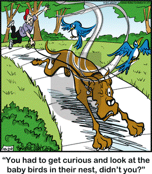Marmaduke on Friday October 20, 2017 Comic Strip