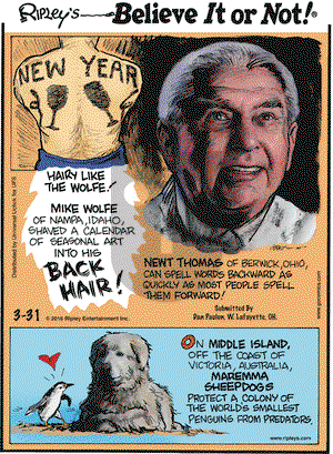 Ripley's Believe It or Not on Thursday March 31, 2016 Comic Strip