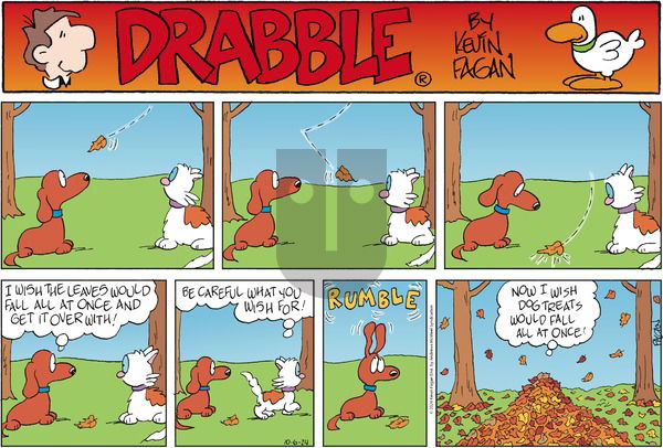 Drabble - Sunday October 6, 2024 Comic Strip