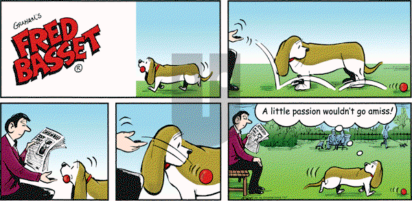 Fred Basset on Sunday November 7, 2010 Comic Strip