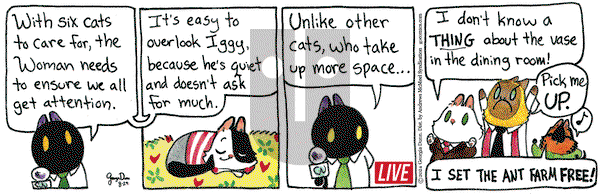 Breaking Cat News - Thursday August 29, 2024 Comic Strip