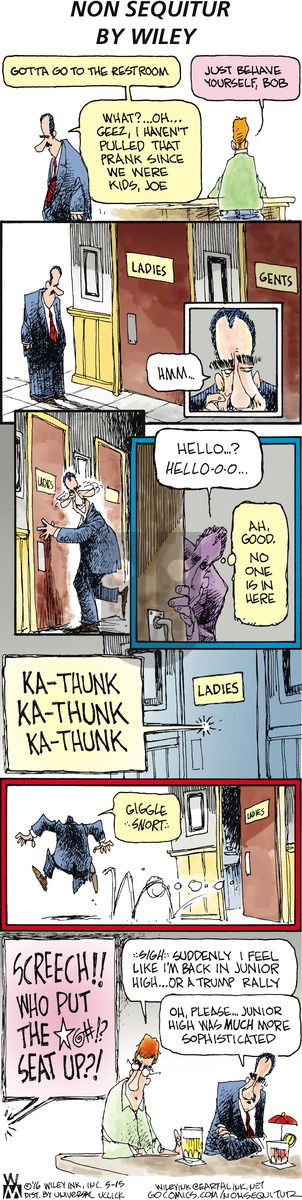 Non Sequitur - Sunday May 15, 2016 Comic Strip