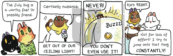 Breaking Cat News on Monday July 20, 2020 Comic Strip