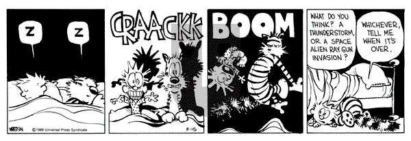 Calvin and Hobbes on Tuesday August 15, 1989 Comic Strip