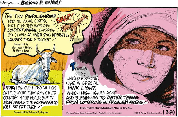 Ripley's Believe It or Not on Sunday December 30, 2012 Comic Strip