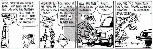 Calvin and Hobbes - Tuesday June 4, 2024 Comic Strip