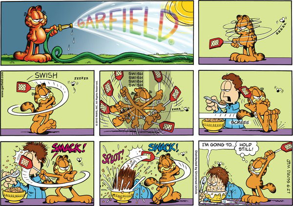 Garfield on Sunday June 27, 2010 Comic Strip