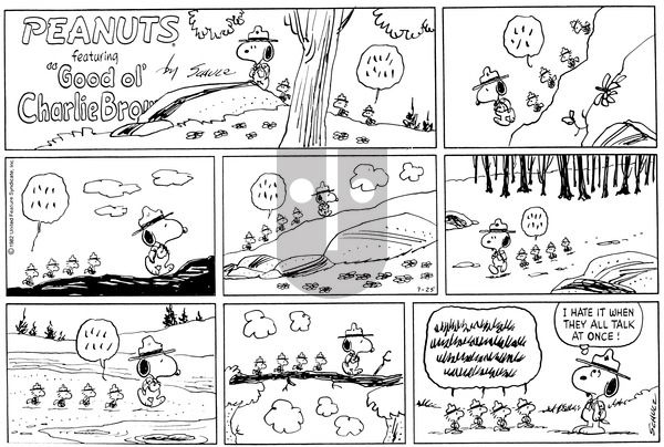 Peanuts on Sunday July 25, 1982 Comic Strip