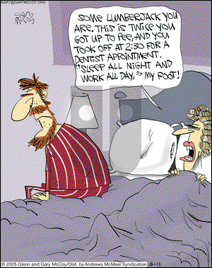 The Flying McCoys on Wednesday June 11, 2025 Comic Strip
