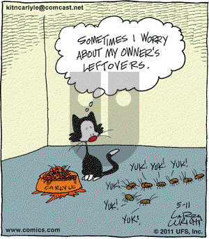 Kit 'N' Carlyle on Wednesday May 11, 2011 Comic Strip