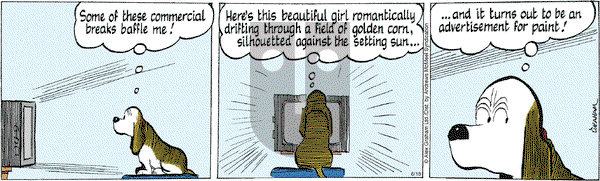 Fred Basset - Tuesday June 18, 2024 Comic Strip
