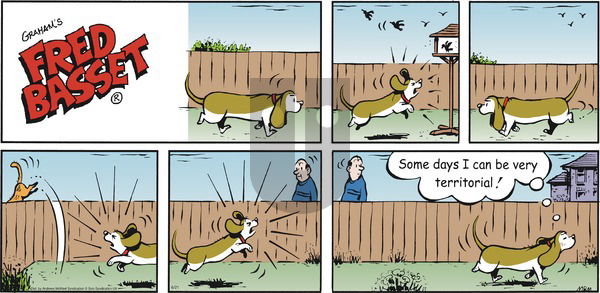 Fred Basset on Sunday June 21, 2020 Comic Strip
