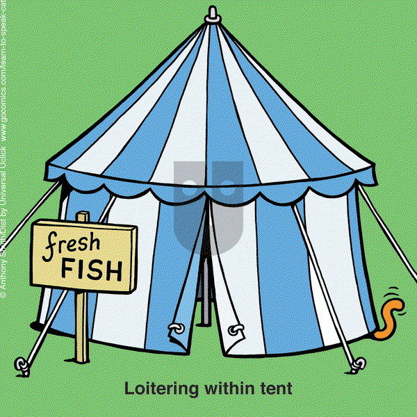 Learn to Speak Cat on Wednesday June 11, 2025 Comic Strip
