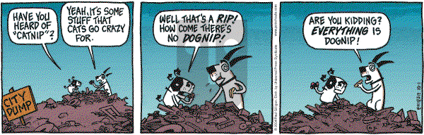 Pooch Cafe on Friday October 1, 2004 Comic Strip