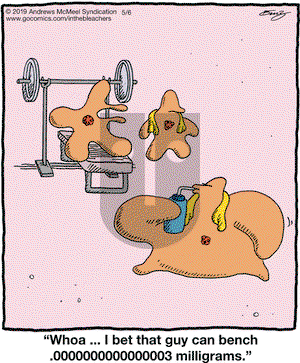 In the Bleachers on Monday May 6, 2019 Comic Strip
