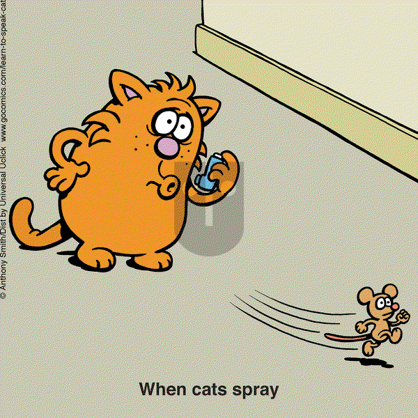 Learn to Speak Cat - Thursday December 5, 2024 Comic Strip