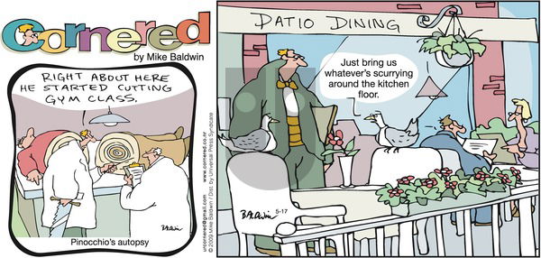 Cornered on Sunday May 17, 2009 Comic Strip