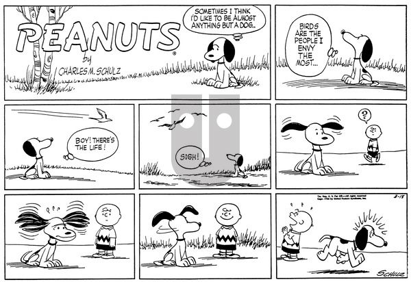 Peanuts on Sunday March 18, 1956 Comic Strip