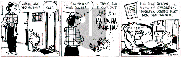 Calvin and Hobbes - Saturday July 13, 2013 Comic Strip