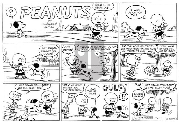 Peanuts on Sunday June 1, 1952 Comic Strip