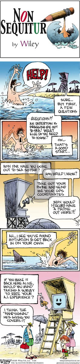 Non Sequitur on Sunday August 24, 2025 Comic Strip