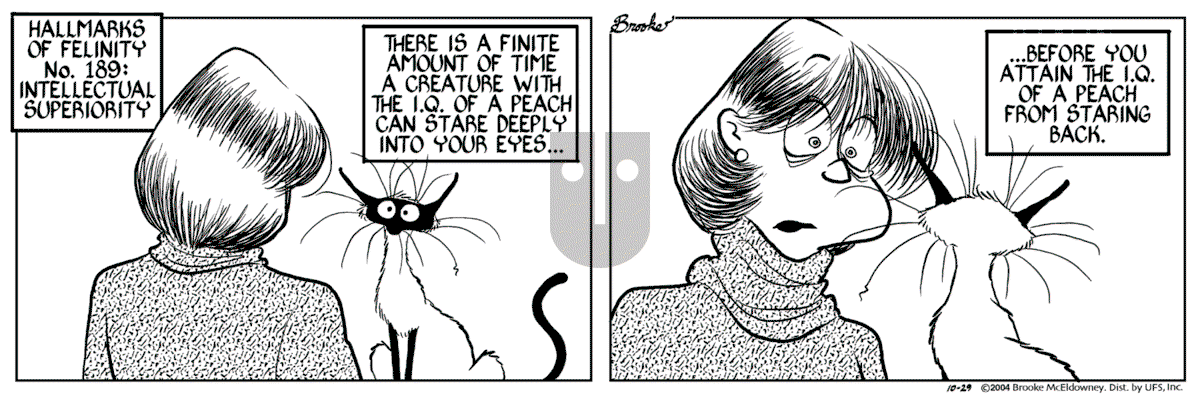 9 Chickweed Lane - Friday October 29, 2004 Comic Strip