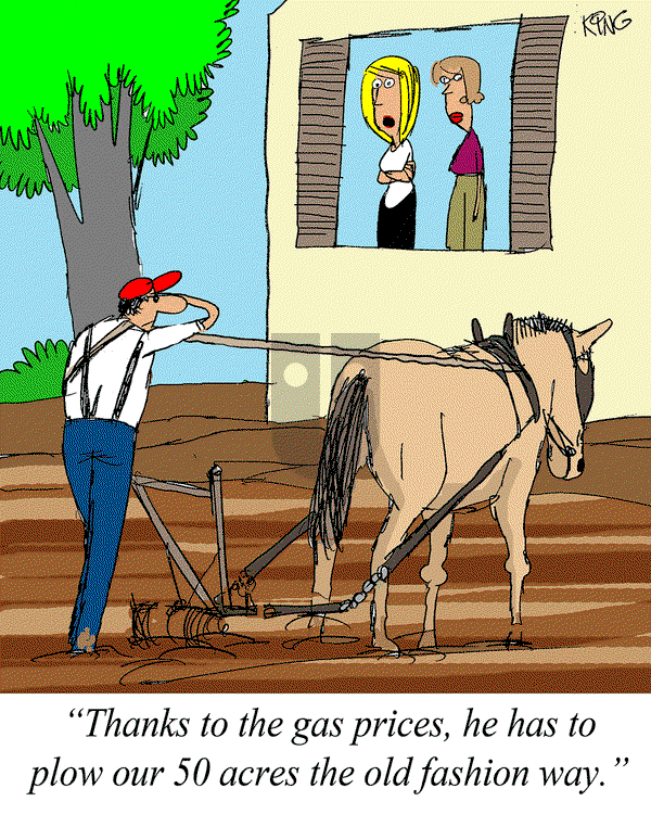 Jerry King Comics on Saturday June 14, 2025 Comic Strip