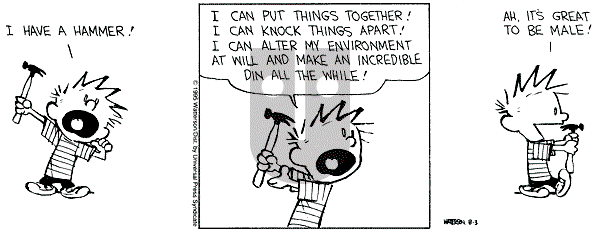 Calvin and Hobbes - Thursday August 3, 1995 Comic Strip