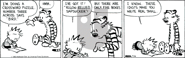 Calvin and Hobbes - Thursday September 16, 1993 Comic Strip