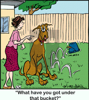 Marmaduke on Thursday April 30, 2015 Comic Strip