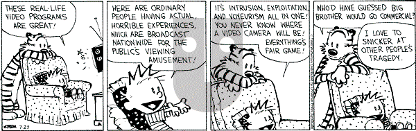 Calvin and Hobbes - Tuesday July 27, 1993 Comic Strip