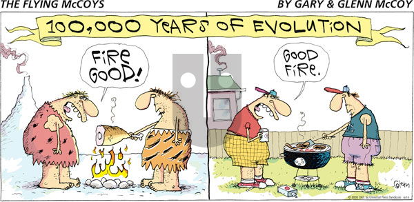 The Flying McCoys on Sunday June 19, 2011 Comic Strip