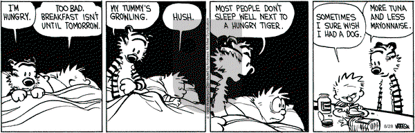 Calvin and Hobbes - Tuesday August 28, 2018 Comic Strip