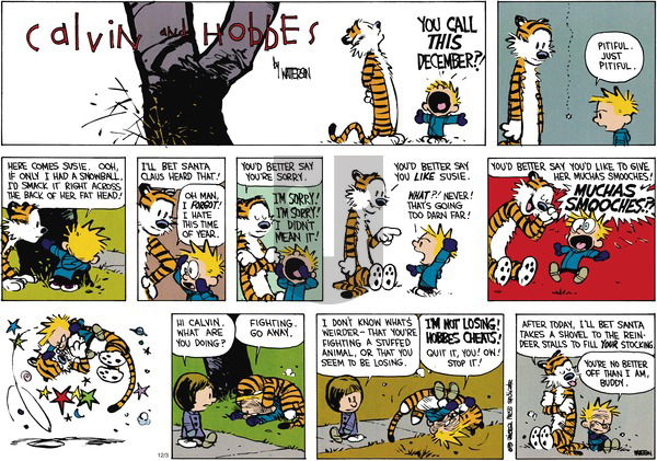 Calvin and Hobbes on Sunday December 2, 1990 Comic Strip