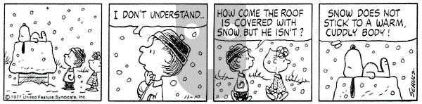Peanuts on Thursday November 10, 1977 Comic Strip