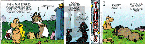 Over the Hedge on Wednesday May 17, 2017 Comic Strip