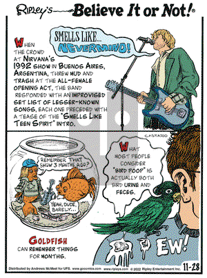 Ripley's Believe It or Not - Monday November 28, 2022 Comic Strip
