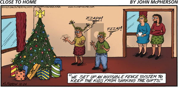 Close to Home on Sunday December 24, 2023 Comic Strip