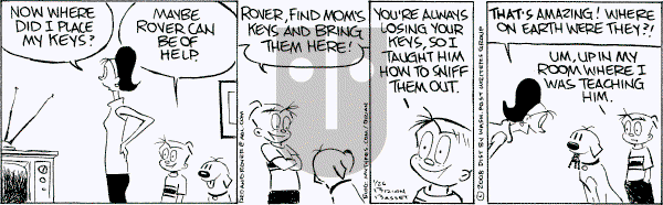 Red and Rover - Saturday January 26, 2008 Comic Strip
