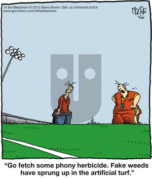 In the Bleachers on Friday April 20, 2012 Comic Strip